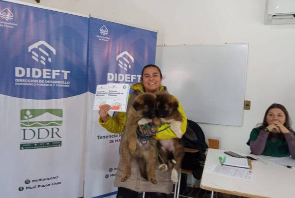 6 OPERATIVO PERROS Y GATOS 25 DE JULIO