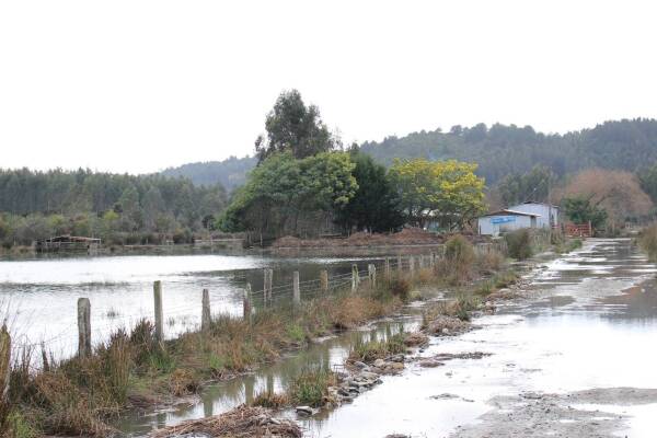 Agosto Araucania 001