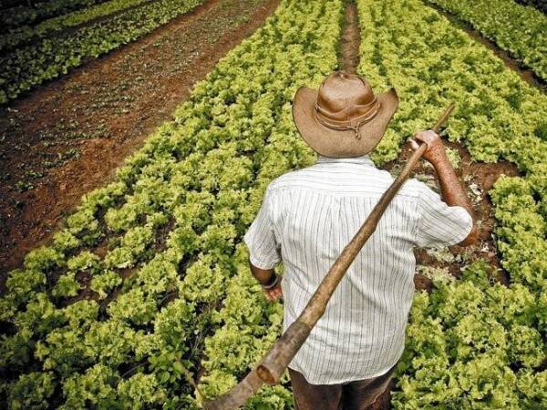 agricultor-sostenible
