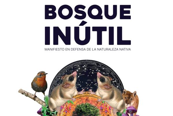 BOSQUE INUTIL