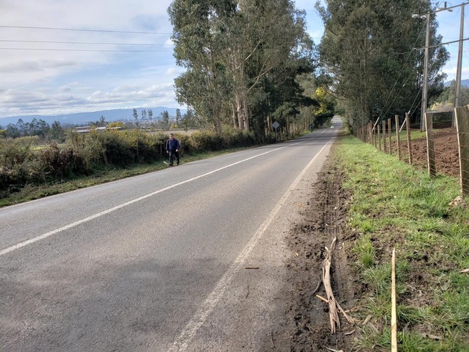 Camino