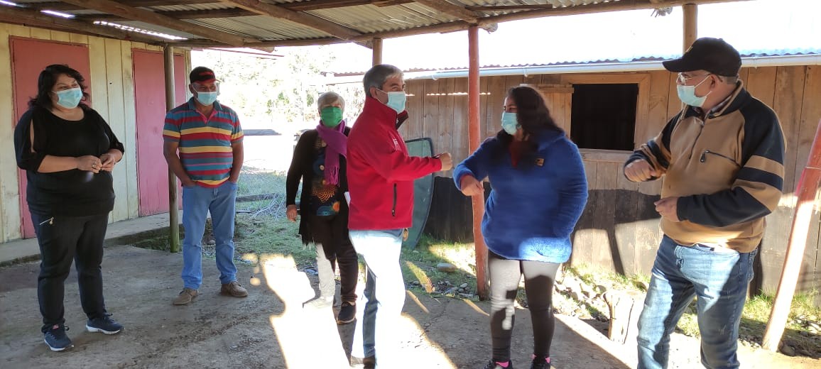 CaminoFiloco-Copihual2
