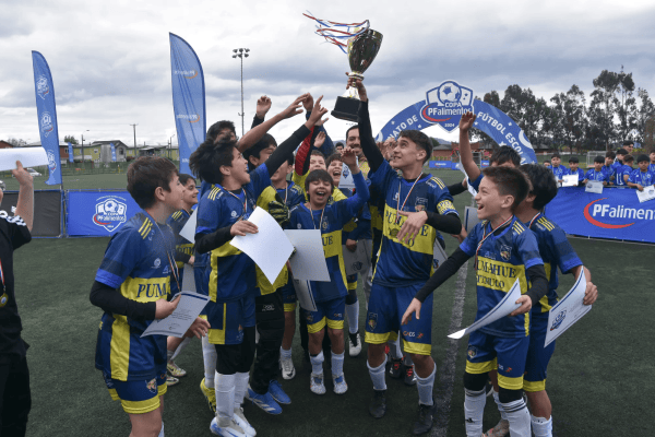 Colegio Pumahue de Temuco