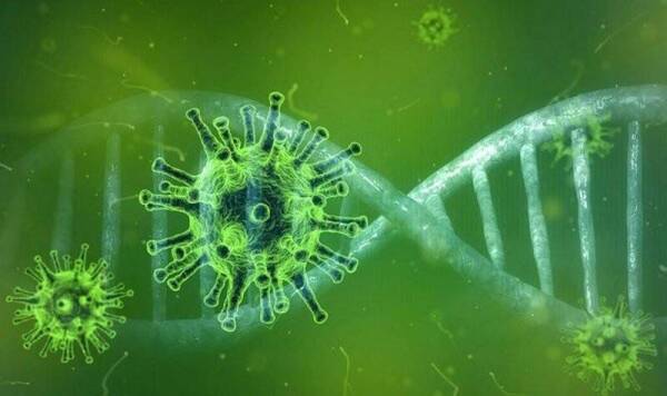 coronavirus-origen