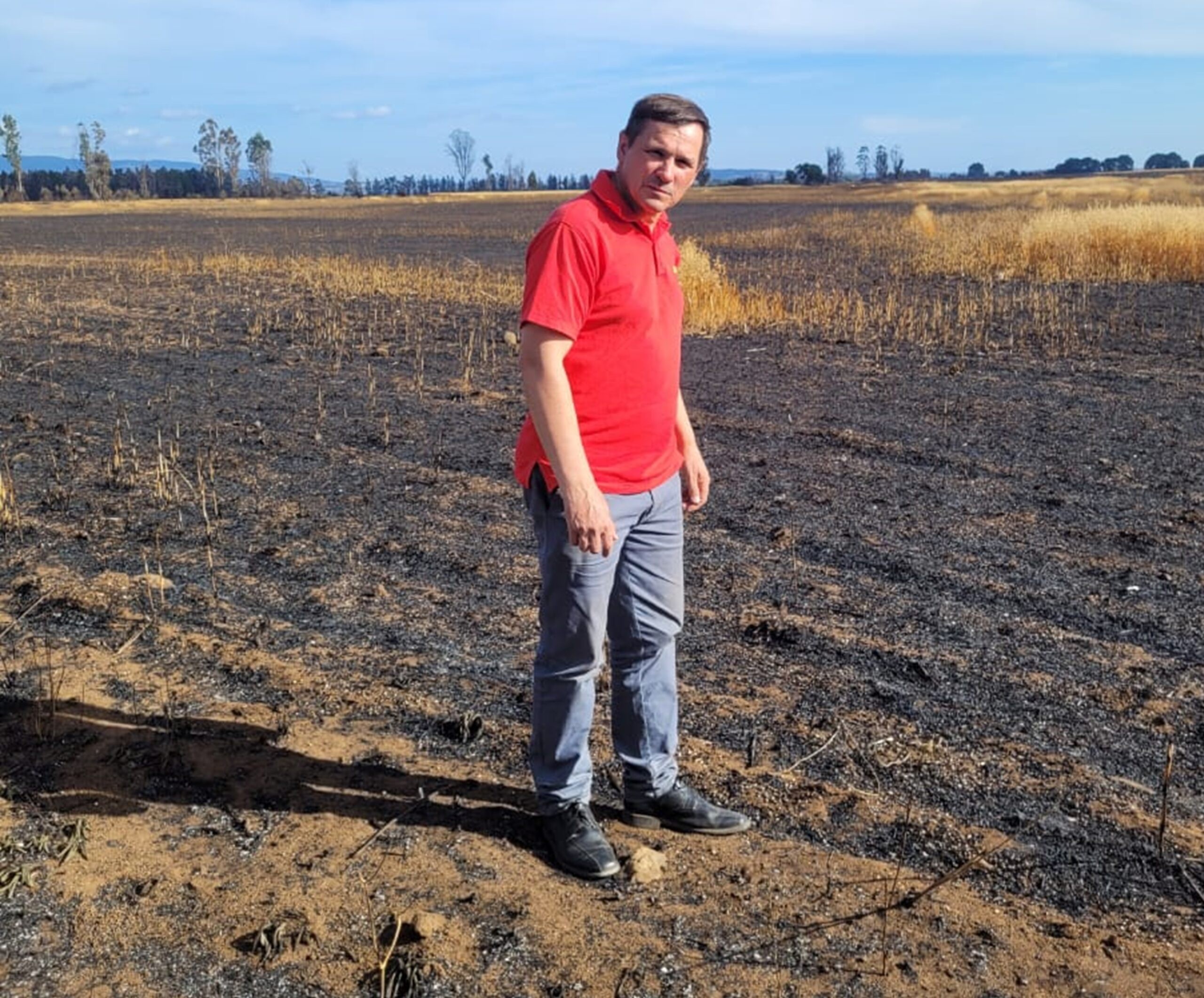 DIPUTADO RATHGEB INCENDIO GALVARINO