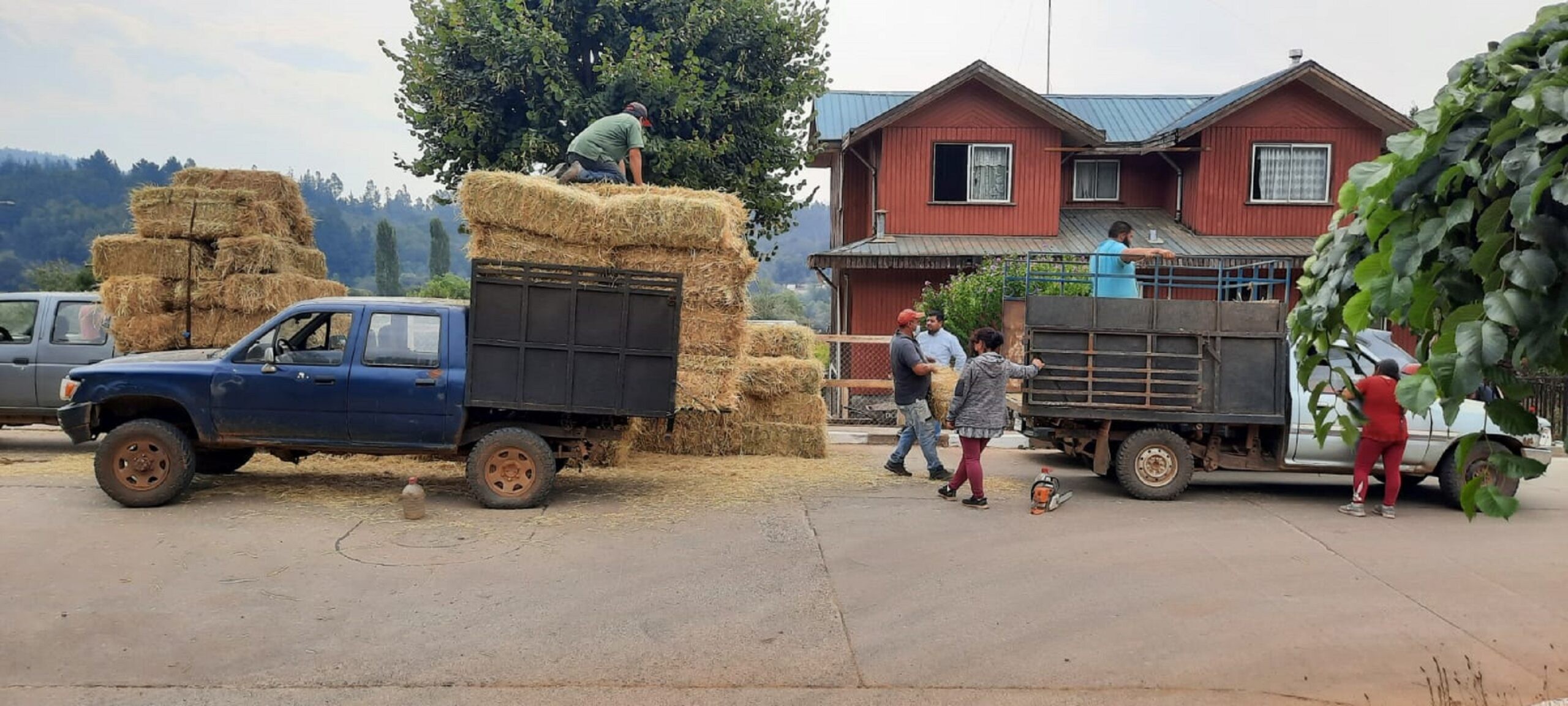 ENTREGA AYUDA 2