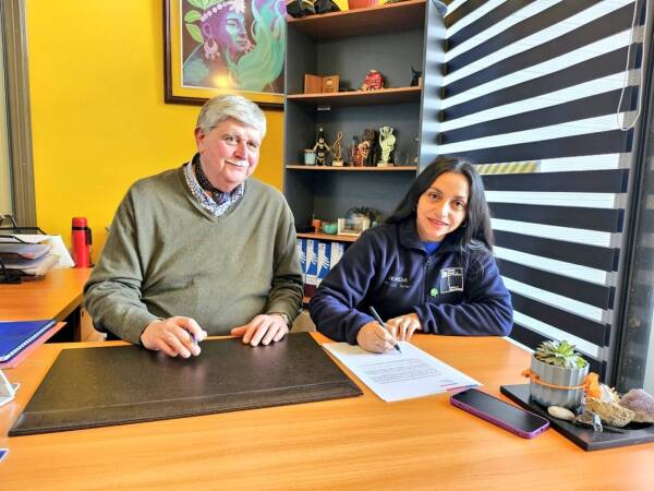 Entrega Villarrica 2