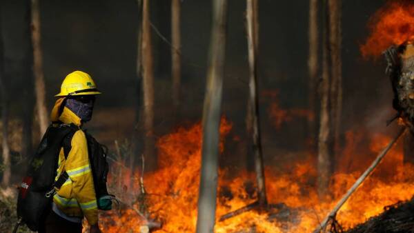 ForestaLIncendio