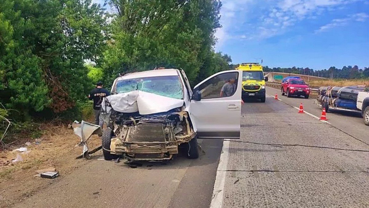 Gatos negros accidente
