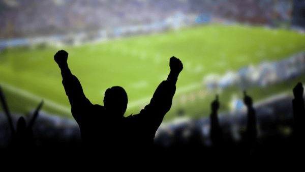 hincha-cancha