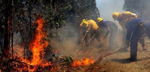 incendio-forestal