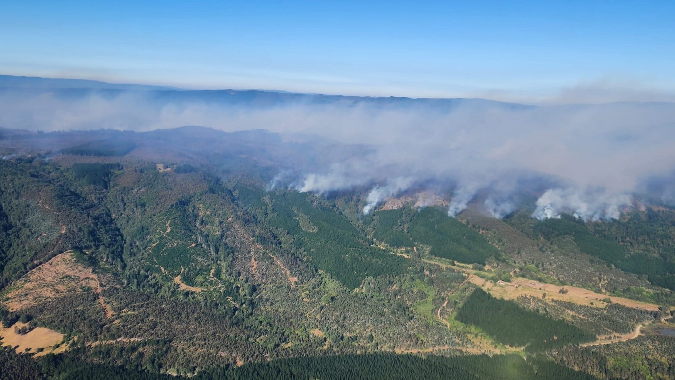 Incendio Lumaco