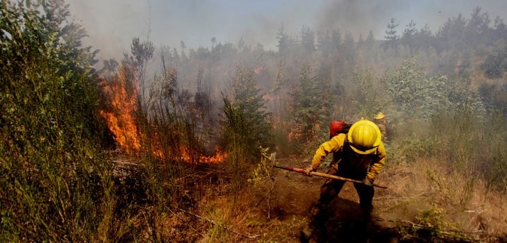 IncendiofORESTAL