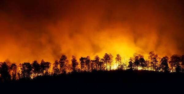 Rain,Forest,Fire,Disaster,Is,Burning,Caused,By,Humans