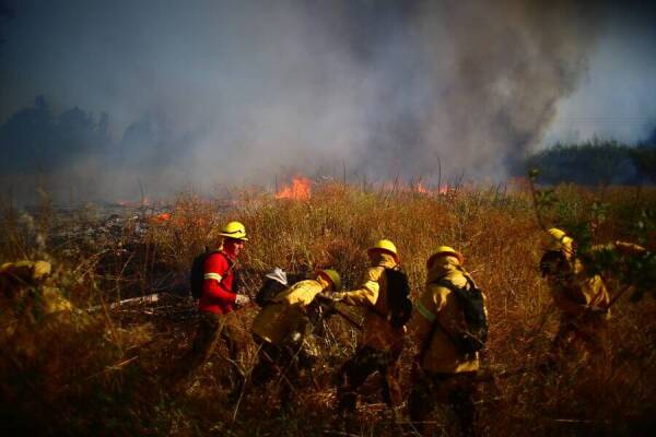 IncendiosForestalesArchivo3