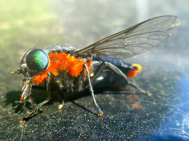 JLJOWG5NLJDBHHBRVU233FJYYU