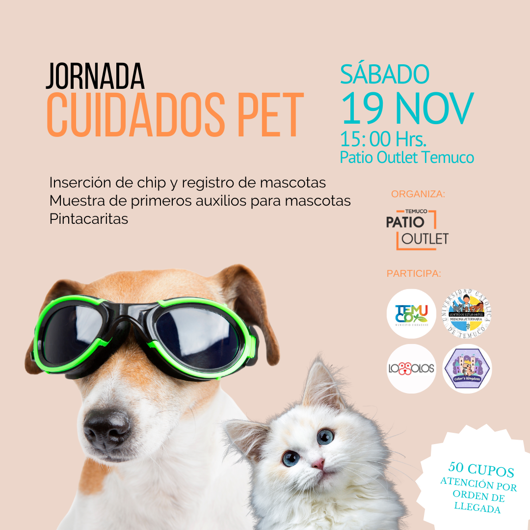 Jornada Cuidados Pet (Post para Instagram (cuadrado))