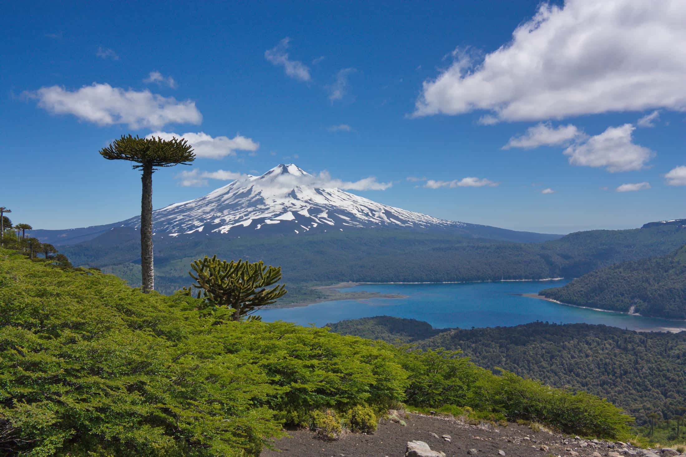 Parque-Nacional-Conguillio_1