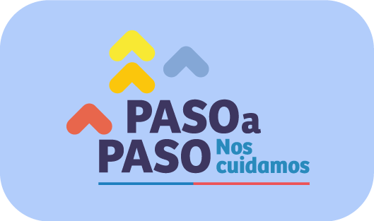 paso a paso