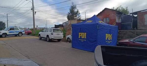 PDI Sdel S