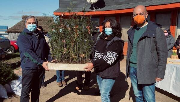 plantas-red-apicolas