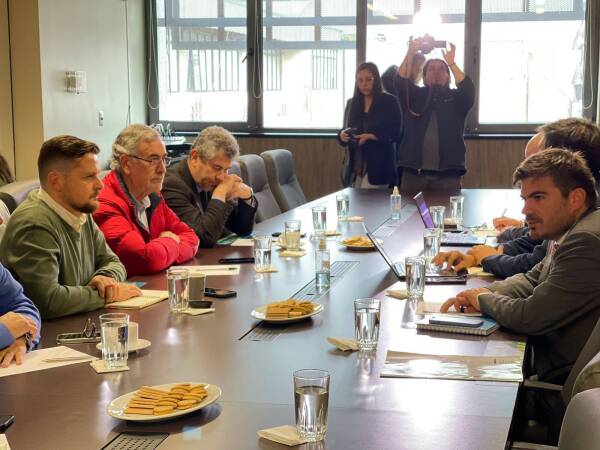 Reunión Temuco