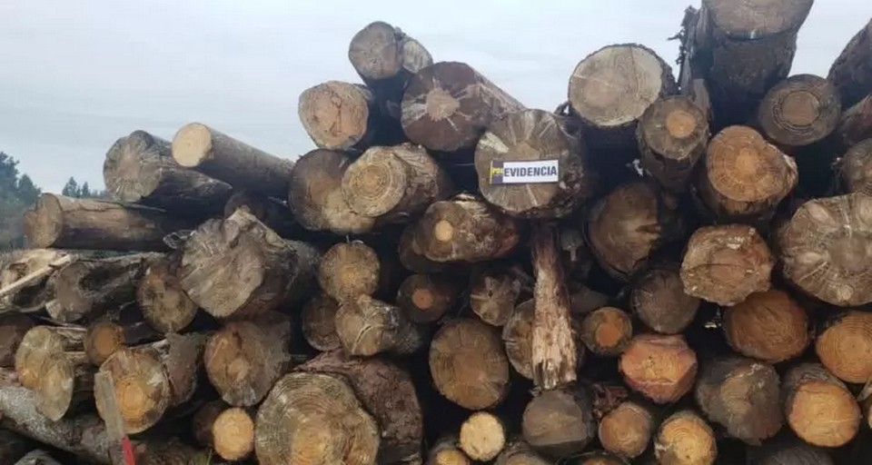 robo-madera-lautaro-aserradero-detenido-750×400