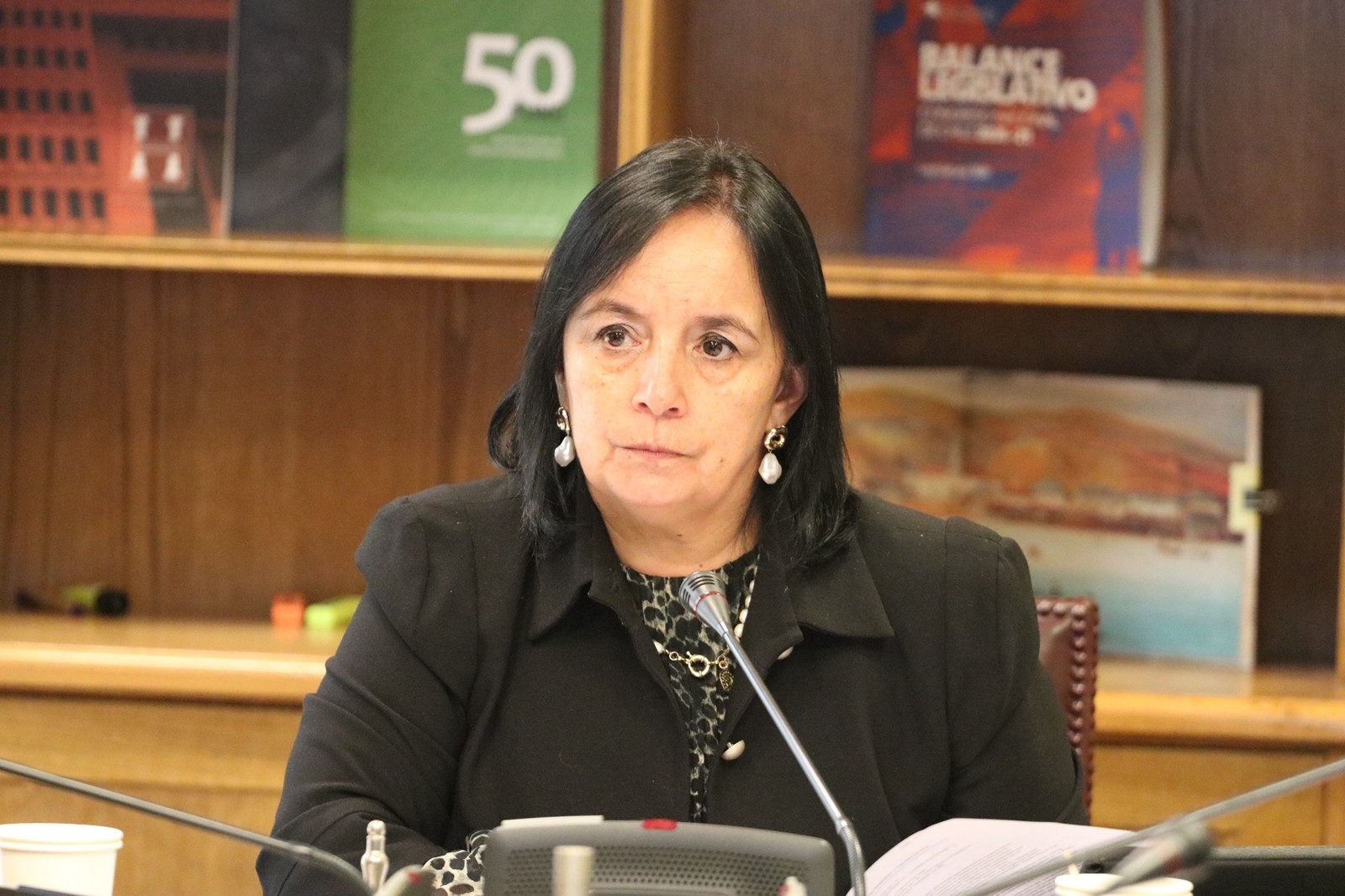 Senadora Aravena