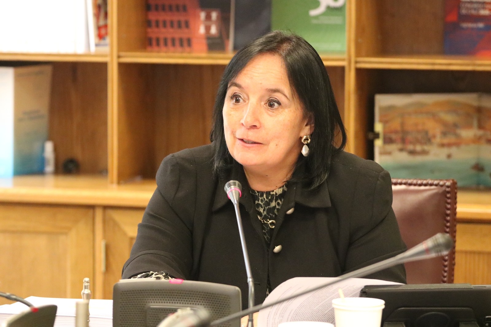 Senadora Aravena