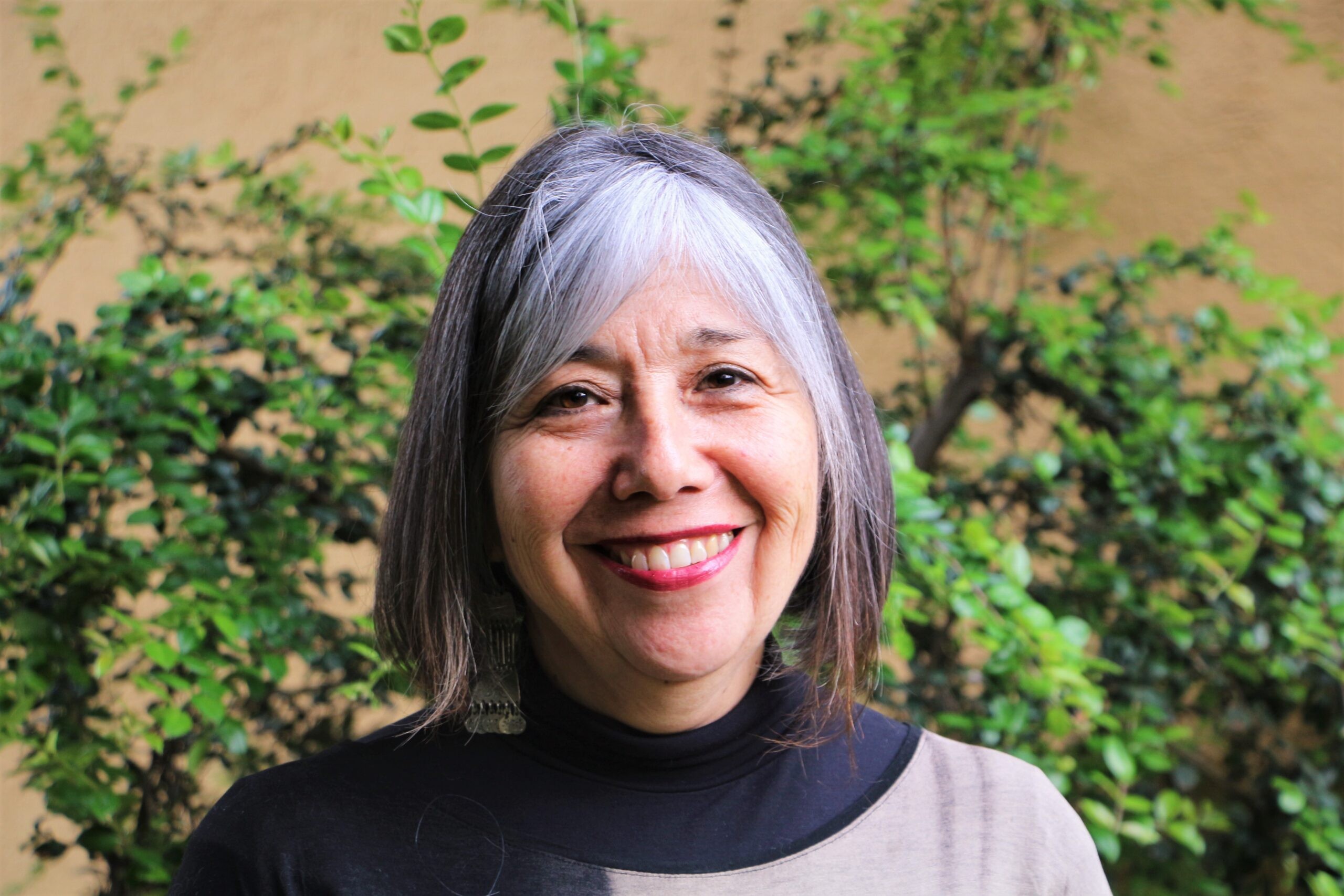 Seremi Jeannette Paillan noviembre de 2022