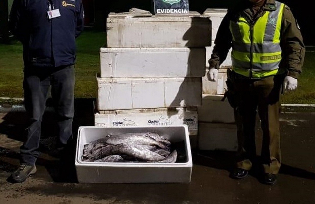 Sernapesca-Carabineros