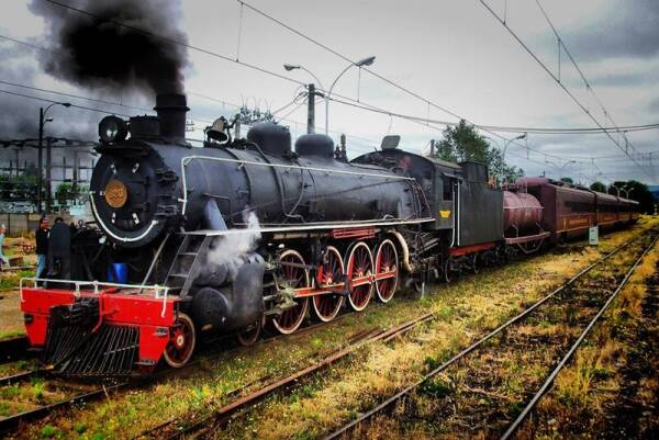 Tren-de-la-Araucania