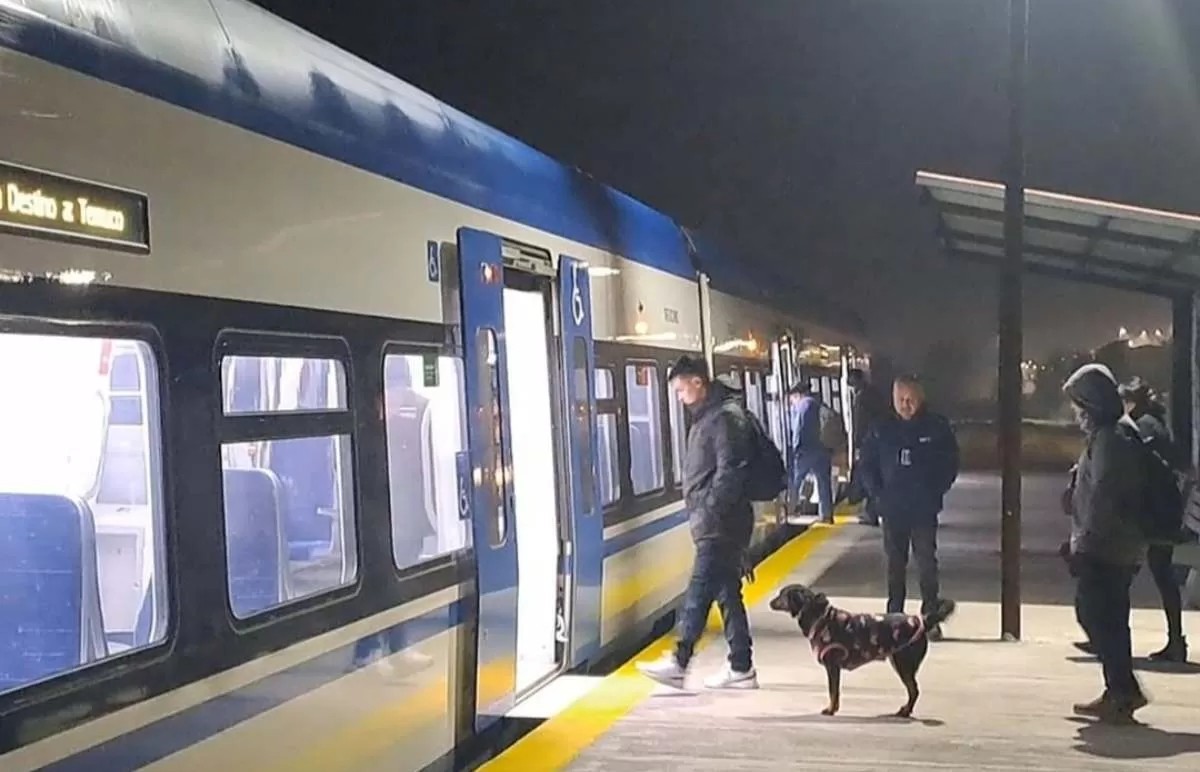 tren-temuco-pitrufquen