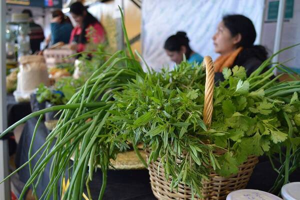 UFRO-Agroecologia-ufro-1