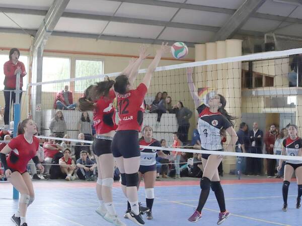 voleibol