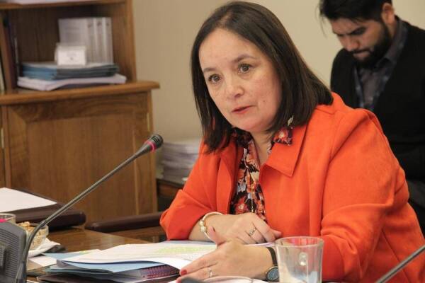 Senadora Aravena