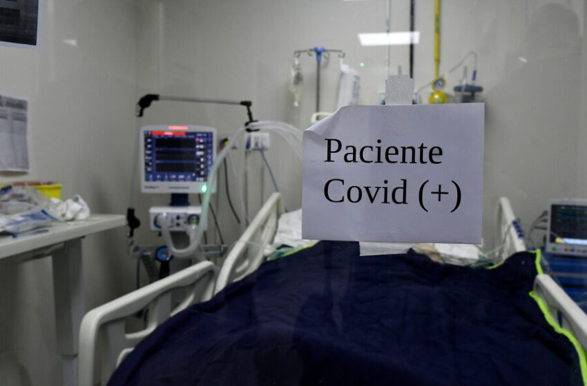  23 Fallecidos Y Positividad Diaria Del 12.44% Por Covid Se Informó Este Jueves En La Araucanía