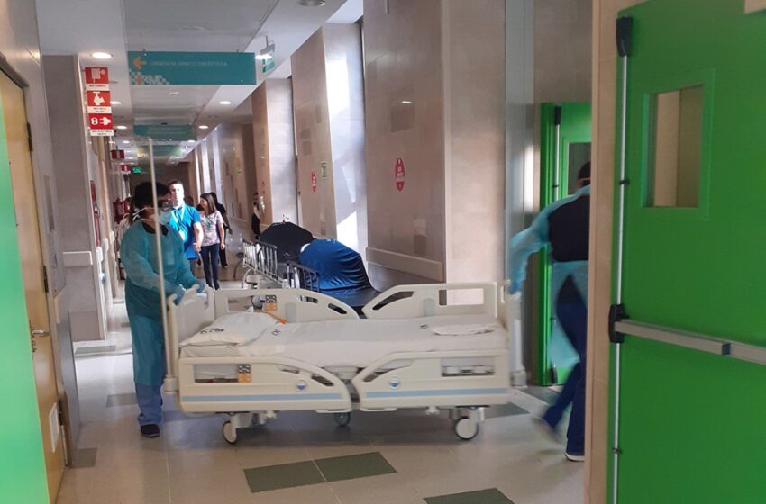  2 Fallecidos, 87 Hospitalizados, 97 Nuevos Contagios Y 356 Casos Activos Por Covid Hoy En La Araucanía