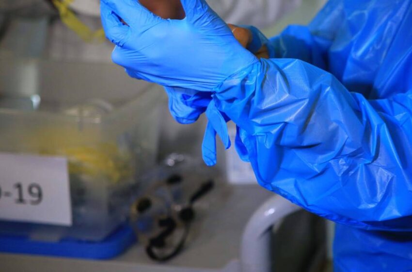  2 Fallecidos Y 361 Nuevos Contagios Por Covid Con 4.398 Exámenes PCR Realizados En La Araucanía