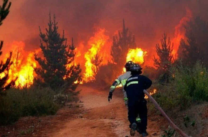 Onemi Araucanía Declara Alerta Temprana Preventiva Por Amenaza De Incendios Forestales