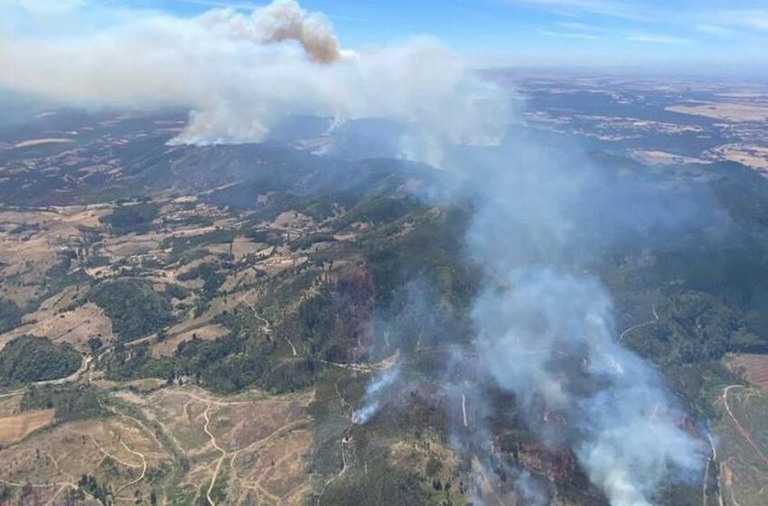  Ministra Undurraga Informa El Estado De Avance De Los Incendios Forestales De La Araucanía