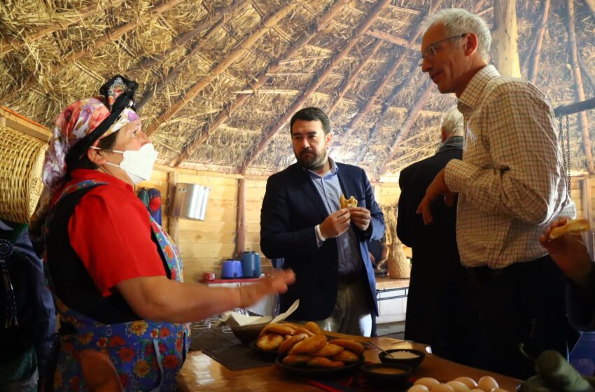  Embajador De Alemania Y El Gobernador Regional Visitan Comunidad Mapuche En Sector Rengalil